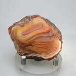 Carnelian Polished Slab ~58x47mm