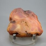 Carnelian Polished Slab ~58x52mm