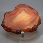 Carnelian Polished Slab ~62x46mm