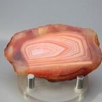 Carnelian Polished Slab ~63x38mm