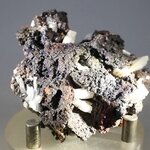 Cerussite 'Jack Straw' Mineral Specimen ~50mm