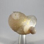 Chalcedony Womb Stone ~50mm