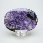 Charoite Palmstone (Extra Grade) ~70x50mm