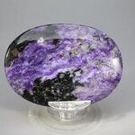 Charoite Palmstone (Extra Grade) ~70x50mm