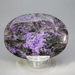 Charoite Palmstone (Extra Grade) ~70x50mm
