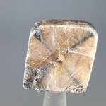Chiastolite Polished Slice ~30mm