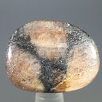 Chiastolite Polished Stone ~26mm