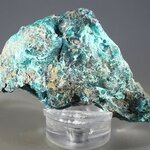 Chrysocolla Mineral Specimen ~60mm