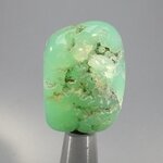 Chrysoprase Tumblestone ~31mm