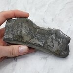 Cotham Marble Polished Slice ~129mm