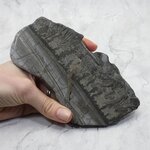 Cotham Marble Polished Slice ~160mm