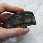 Cotham Marble Polished Slice ~68mm