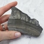 Cotham Marble Polished Slice ~98mm