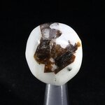 Cryolite Tumblestone ~25mm