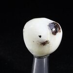 Cryolite Tumblestone ~25mm