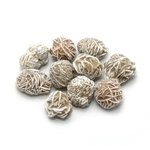 Desert Rose Specimen - Small