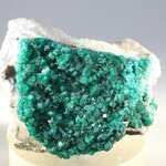Dioptase Mineral Specimen (Namibia) ~40mm