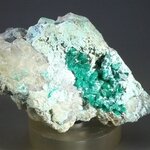 Dioptase Mineral Specimen (Namibia) ~61mm
