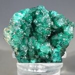 Dioptase Mineral Specimen (DRC) ~37mm
