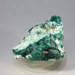 Dioptase Mineral Specimen (Namibia) ~45mm