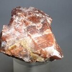Dragon's Blood Calcite Healing Crystal ~70mm