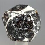 Dravite (Brown Tourmaline) Healing Crystal (India) ~25mm