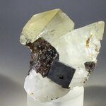 Elmwood Calcite Mineral Specimen ~60mm