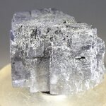 Elmwood Galena Mineral Specimen (U.S.A.) ~30mm