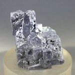 Elmwood Galena Mineral Specimen (U.S.A.) ~34mm