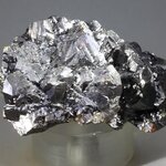 Elmwood Sphalerite Specimen (U.S.A.) ~55mm