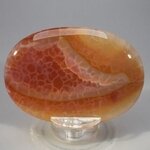 Fire Agate Palmstone (Extra Grade) ~70x50mm