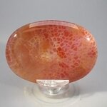 Fire Agate Palmstone (Extra Grade) ~70x50mm