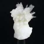 Flos Ferri Aragonite Healing Mineral ~40mm