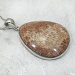 Flower Coral 925 Sterling Silver Teardrop Pendant  ~42mm
