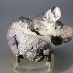 Fossilised Coprolite ~66mm