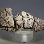 Fossilised Coprolite ~82mm