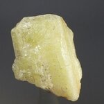 Gold Danburite Healing Crystal ~34mm