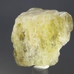 Gold Danburite Healing Crystal ~35mm