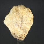 Gold Danburite Healing Crystal ~37mm