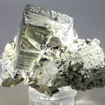 Golden Iron Pyrite Complex Healing Mineral (Collector Grade) ~57mm