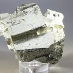 Golden Iron Pyrite Complex Healing Mineral (Collector Grade) ~58mm