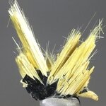 Golden Rutile with Hematite Healing Mineral ~25mm