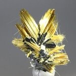 Golden Rutile with Hematite Healing Mineral ~27mm