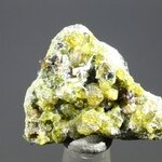 Green Andradite Garnet Healing Mineral ~23mm