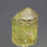 Green Apatite Healing Crystal ~20mm