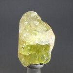 Green Apatite Healing Crystal ~31mm