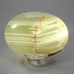 Green Onyx Palm Stone (Extra Grade) ~70x50mm