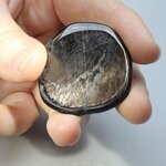 Hypersthene Polished Flat Tumblestone ~37mm