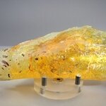 BEAUTIFUL Insect in Copal (Amber) Specimen ~155mm