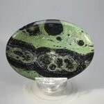 Kambaba Jasper Palmstone (Extra Grade) ~70x50mm